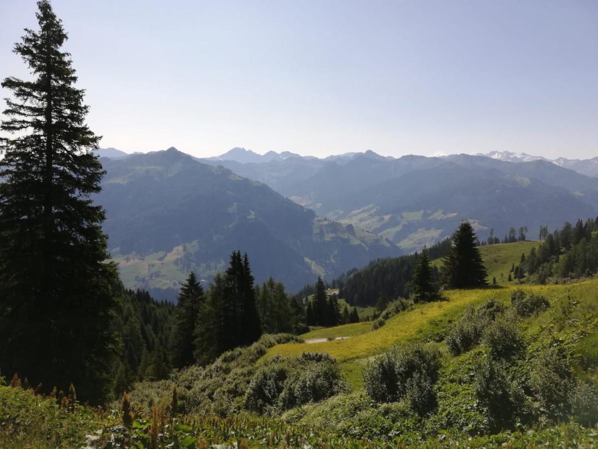 Appartement Tauernlife Schwarzach im Pongau Buitenkant foto