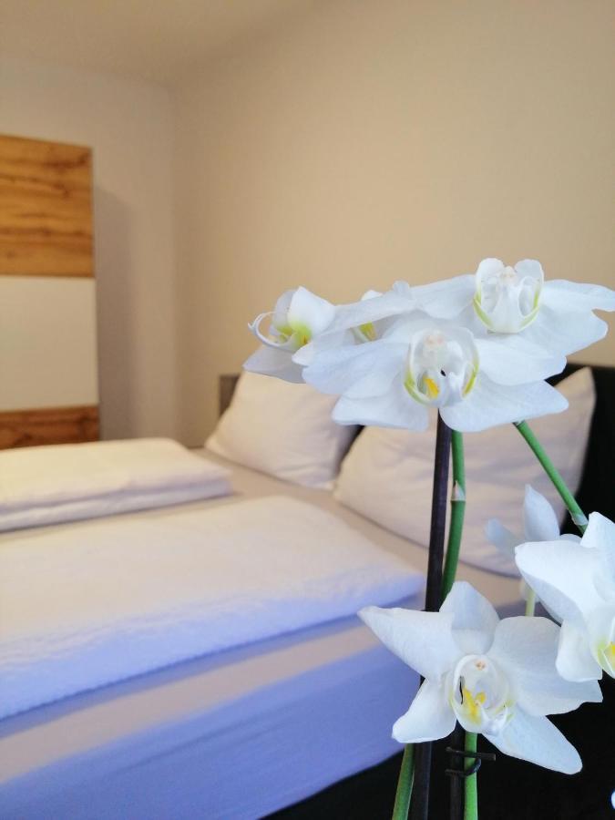 Appartement Tauernlife Schwarzach im Pongau Buitenkant foto