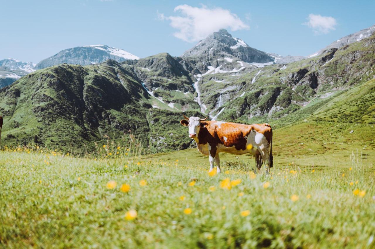 Appartement Tauernlife Schwarzach im Pongau Buitenkant foto