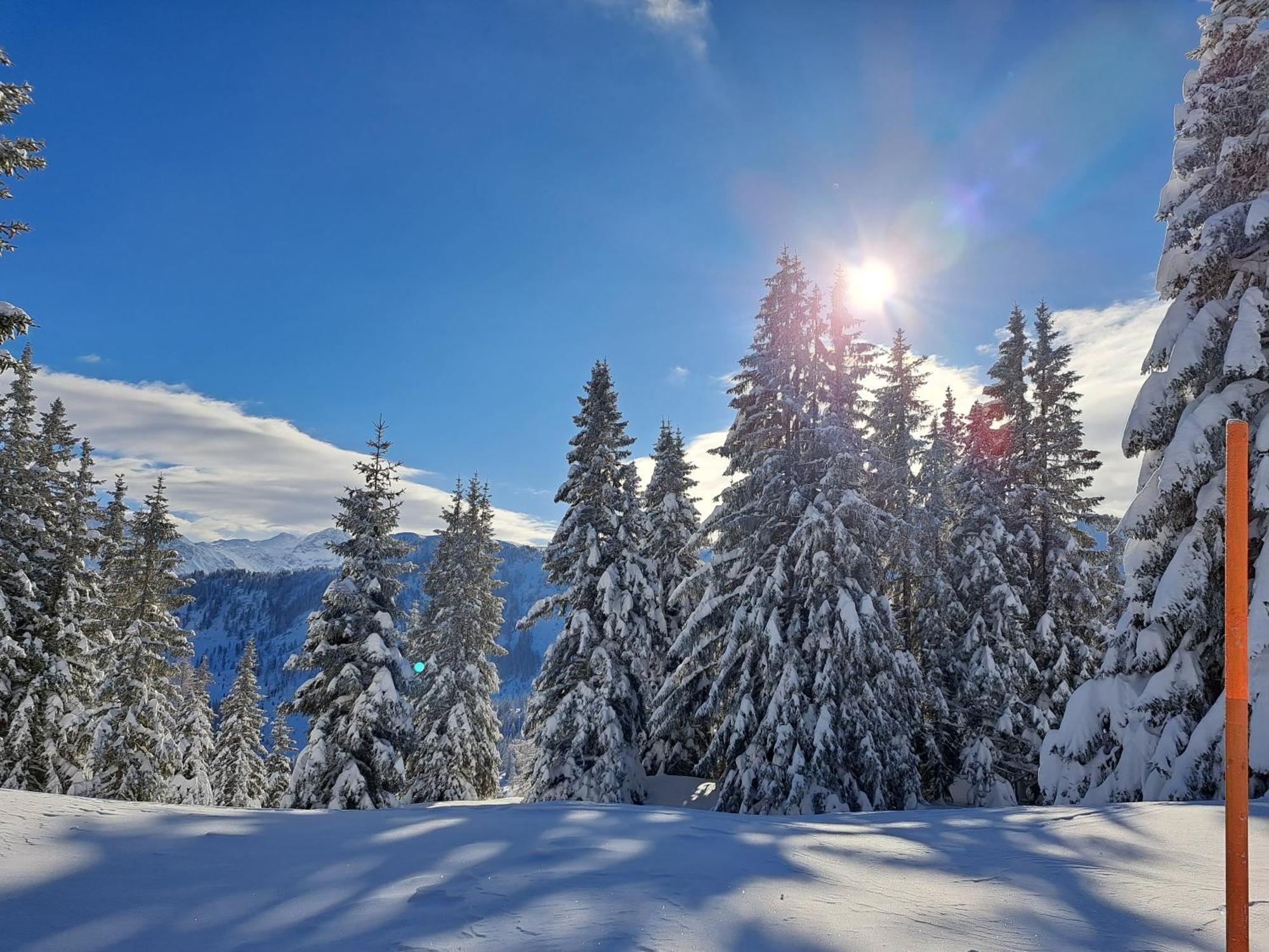 Appartement Tauernlife Schwarzach im Pongau Buitenkant foto